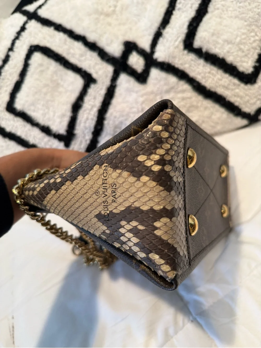 Louis Vuitton Monogram & Genuine Python Chain Shoulder Bag – Rare